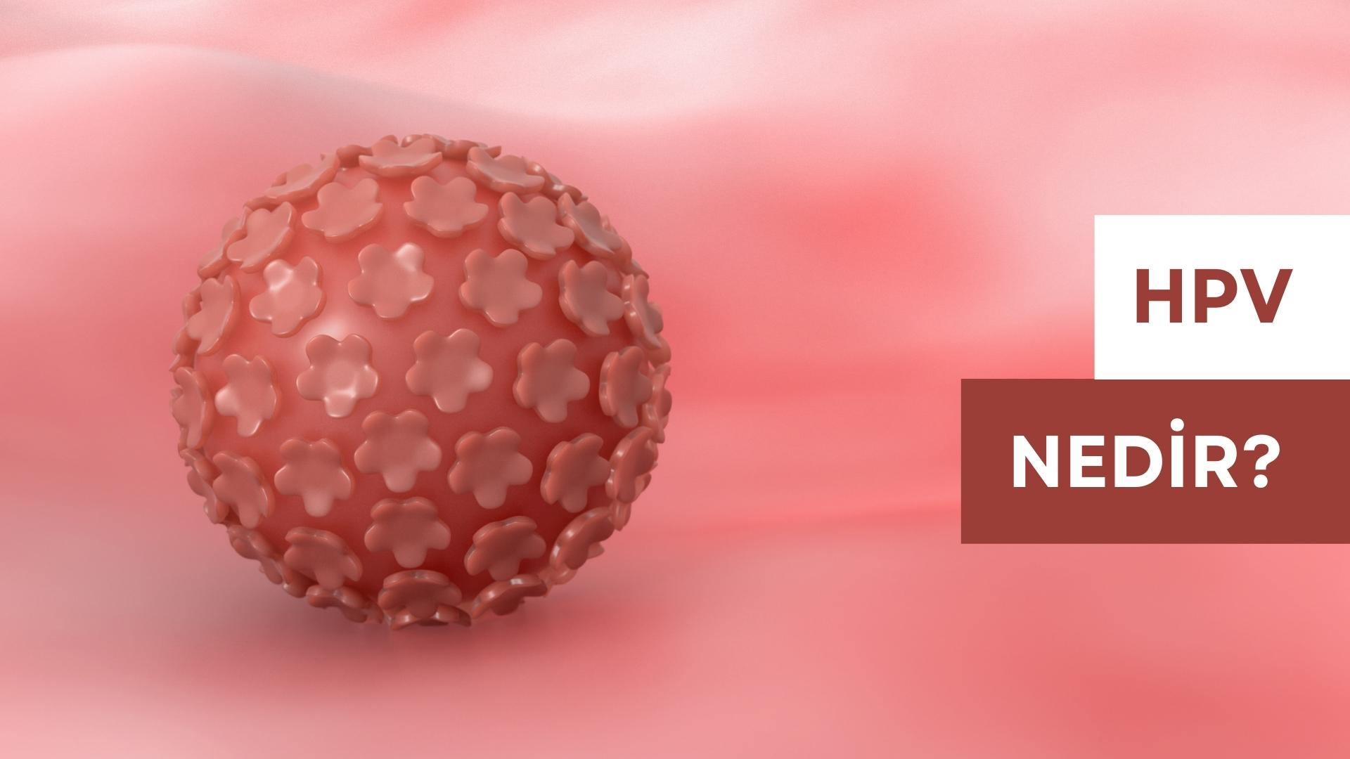 HPV Nedir?